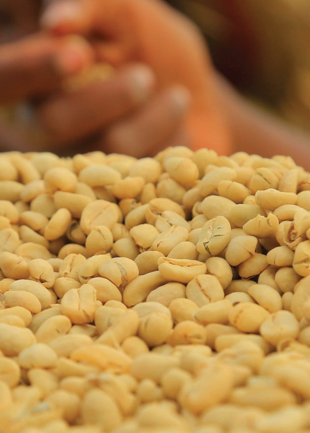 Halo Bariti Washed