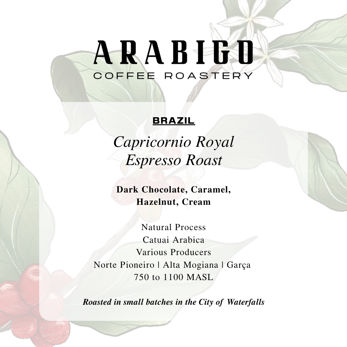 Brazil Capricornio Espresso