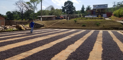 Finca Sta. Elena Bourbon Natural